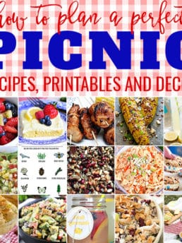 How to Plan a Perfect Picnic. Get recipes, printables and more to plan a perfect picnic at TidyMom.net