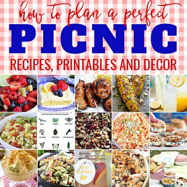 That Picnic-to-go Plate - Reluctant Entertainer