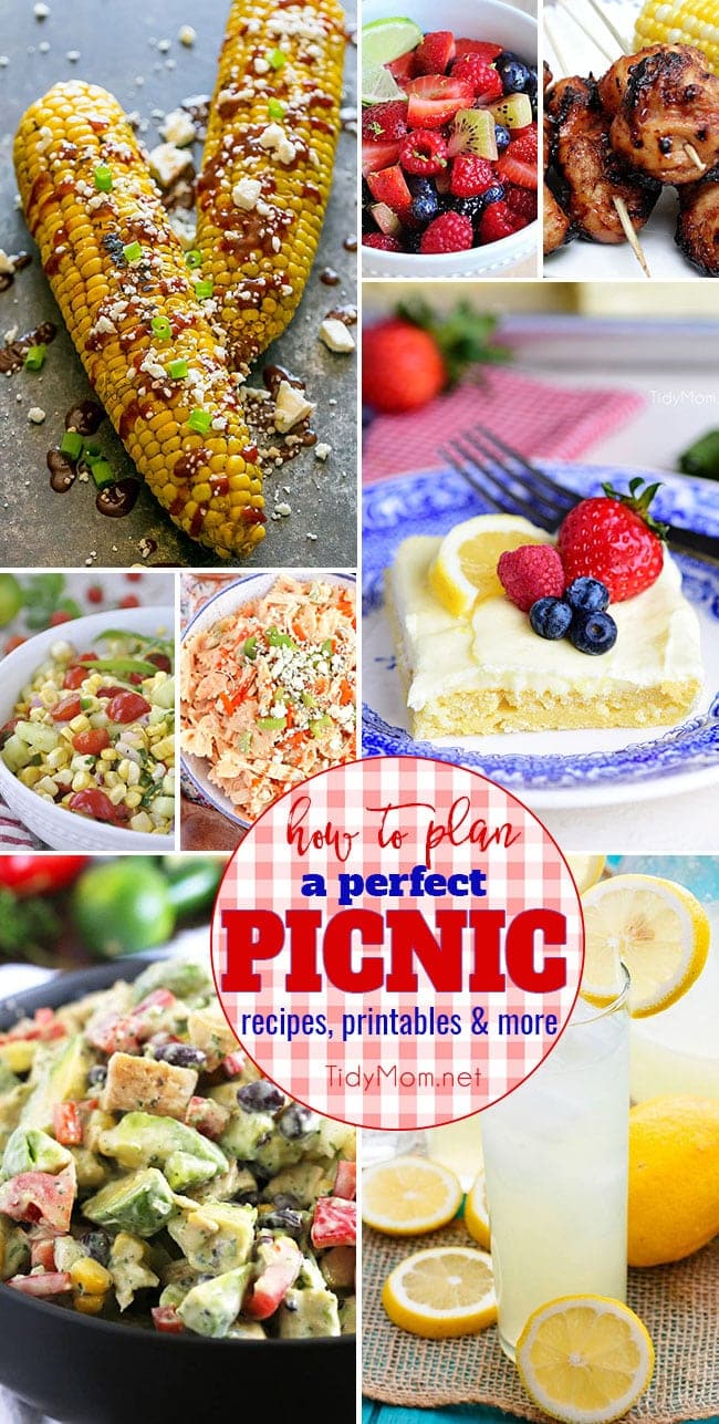 How to Plan a Perfect Picnic. Get recipes, printables and more for a perfect picnic meal plan at TidyMom.net