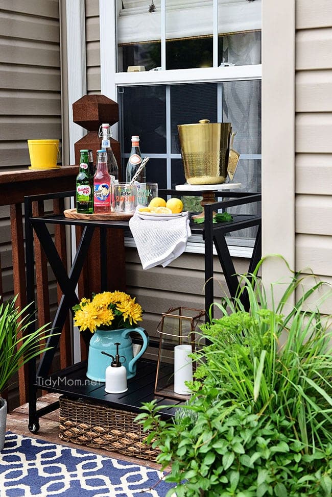 Learn How to Decorate a Small Deck or Patio and what kind of plants to use to keep mosquitos and other pesks away. Get all the details at TidyMom.net