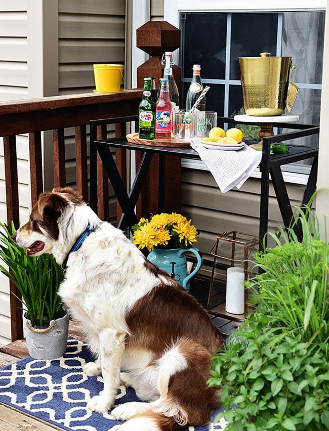 Learn How to Decorate a Small Deck or Patio and what kind of plants to use to keep mosquitos and other pesks away. Get all the details at TidyMom.net