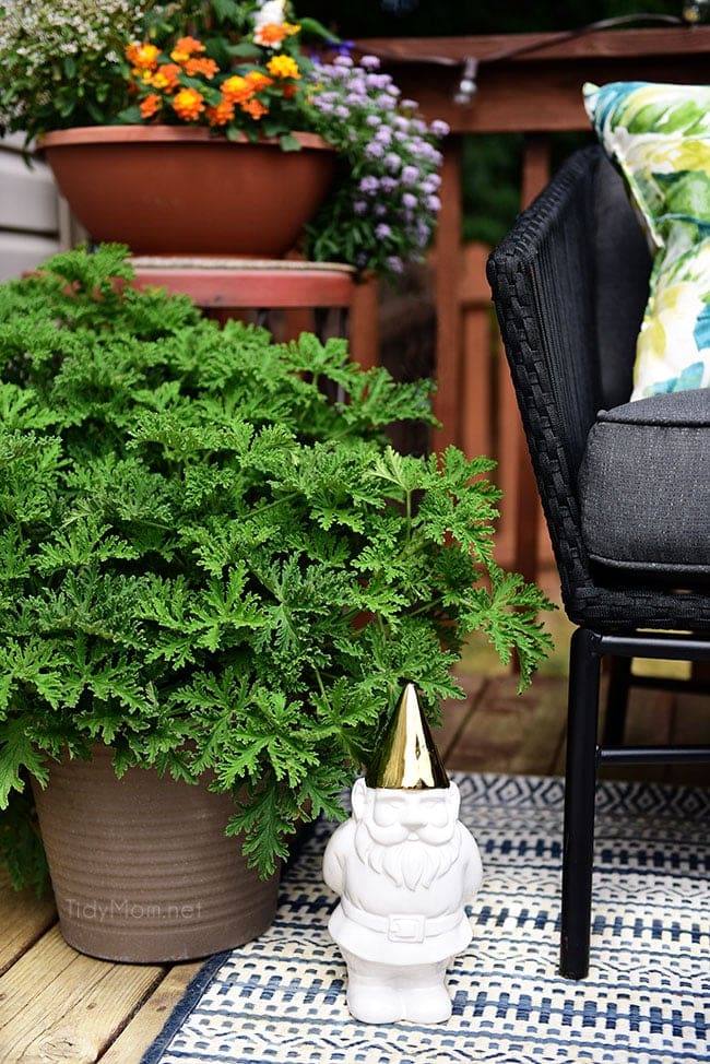 Learn How to Decorate a Small Deck or Patio and keep pesky pests away with plants. Get more details at TidyMom.net