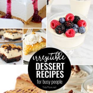 Irresistible Dessert Recipes For Busy People. From cheesecake to panna cotta, dessert doesn’t have to be complicated to be delicious! Get these easy dessert recipes at TidyMom.net