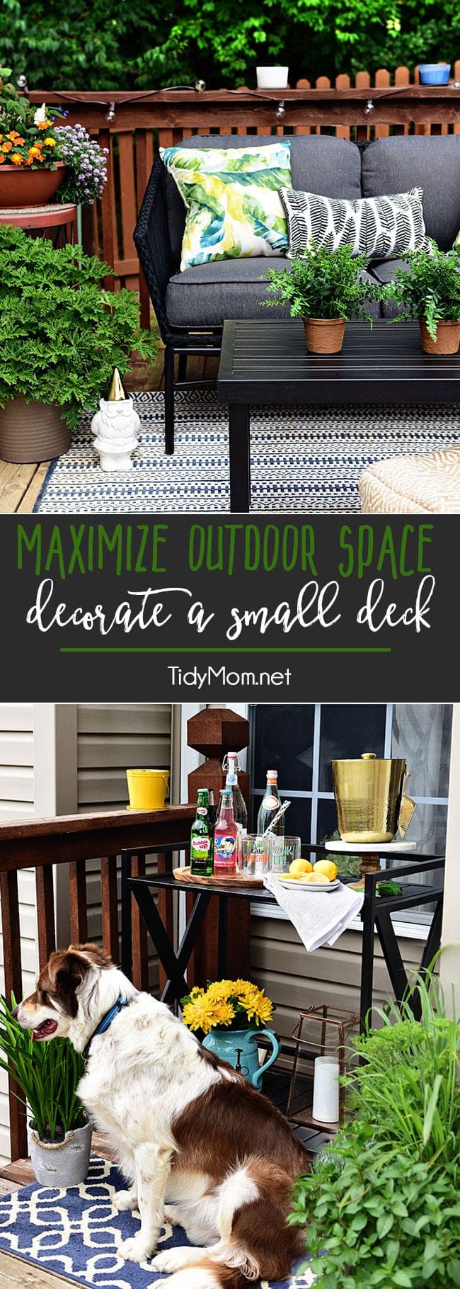 Maximize Outdoor Space! Learn How to Decorate a Small Deck or Patio. Find tips on getting the most out of your small deck or patio along with plants that keep mosquitos and other pests away. Get all the details at TidyMom.net