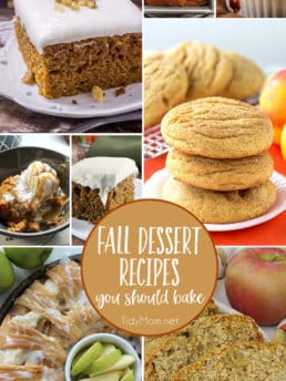 Fall is just around the corner! Crisp cool air, PSLs, bon fires and sweater weather. Crank up the oven.......your house is about to smell amazing!! Time to bring on all the Fall Dessert Recipes! details at TidyMom.net