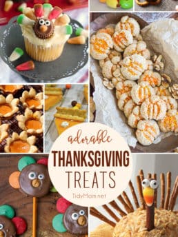Adorable Thanksgiving Treats at TidyMom.net