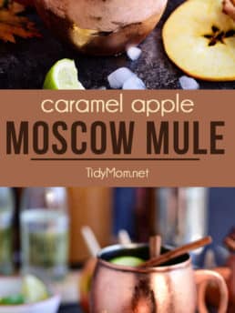 Caramel Apple Moscow Mule i