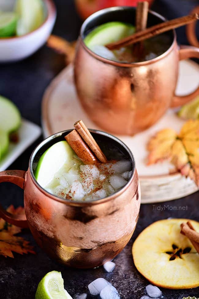 A Caramel Apple Moscow Mule is perfect for autumn! Made with sweet caramel vodka, fresh apple cider, and ginger beer it’s sure to become a favorite fall cocktail! Get the recipe at TidyMom.net