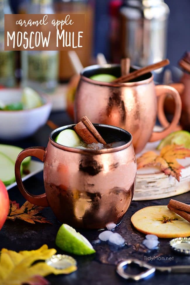 A Caramel Apple Moscow Mule is perfect for autumn! Made with sweet caramel vodka, fresh apple cider, and ginger beer it’s sure to become a favorite fall cocktail! Get the recipe at TidyMom.net