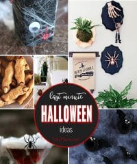 Whether you are looking for cute food options, creep cocktails for a Halloween party, class treats, or fun halloween decor, these last minute Halloween ideas are spooktacular. Get all the spooky details at TidyMom.net