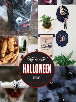 Whether you are looking for cute food options, creep cocktails for a Halloween party, class treats, or fun halloween decor, these last minute Halloween ideas are spooktacular. Get all the spooky details at TidyMom.net