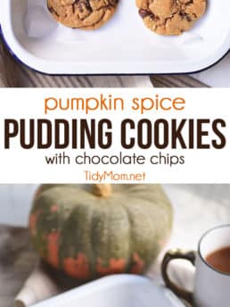 Bring a taste of fall to your chocolate chip cookies thanks to a box of pumpkin pudding mix. These Pumpkin Spice Cookies are soft, delicious and loaed with chocolate chips and peacans. If you haven’t had a pudding cookie, you don’t know what you’re missing. Print the full recipe at Tidymom.net