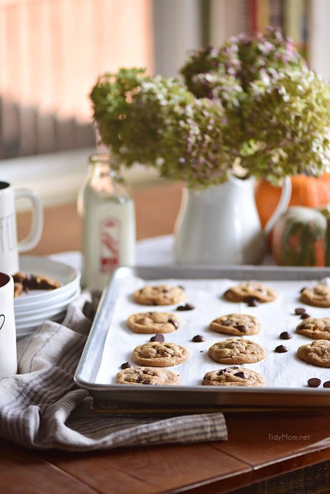 Bring a taste of fall to your chocolate chip cookies thanks to a box of pumpkin pudding mix. These Pumpkin Spice Cookies are soft, delicious and loaded with chocolate chips and pecans. If you haven’t had a pudding cookie, you don’t know what you’re missing. Print the full recipe at Tidymom.net