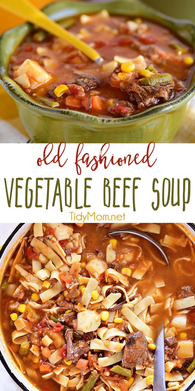 Old Fashioned Vegetable Beef Soup {VIDEO} | TidyMom®