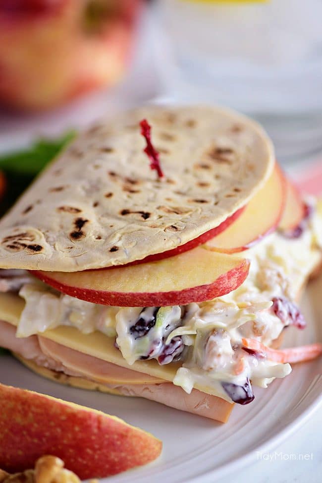 A favorite Panera restaurant sandwich gets a little healthier when you make it at home! Turkey, white cheddar, crisp apple slices, and a crunchy tangy slaw are slipped into a flatbread sandwich. This Turkey, Apple & Cheddar Sandwich is packed with flavor and makes a quick, easy and delicious meal! Print the full recipe at TidyMom.net