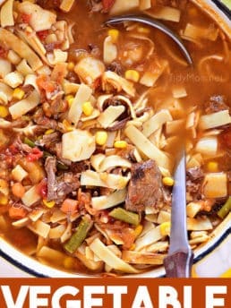 Vegetable Beef Soup in a stockpot