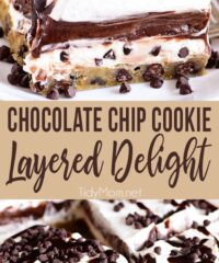 Chocolate Chip Cookie Layered Delight is four layers of pure bliss. This chilled dessert starts with a chocolate chip cookie bottom that is topped with a chocolate chip cream cheese, double chocolate pudding topped with a creamy layer garnished with more chocolate chips! This is the dessert of your dreams!! Print the recipe at Tidymom.net