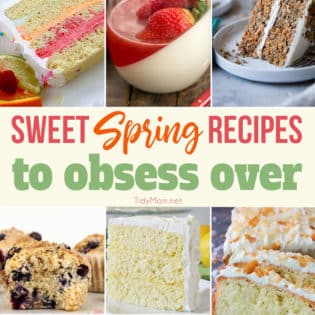 Sweet Spring Recipes to obsess over!! From Lemon Chiffon Layer Cake and Coconut Pound Cake to Spring Sherbet Cake, Carrot Cake Trifle and more you’re going to want to make them all!! Head to TidyMom.net for all the recipes!