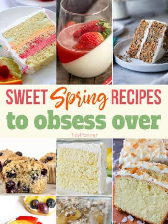 Sweet Spring Recipes to obsess over!! From Lemon Chiffon Layer Cake and Coconut Pound Cake to Spring Sherbet Cake, Carrot Cake Trifle and more you’re going to want to make them all!! Head to TidyMom.net for all the recipes!