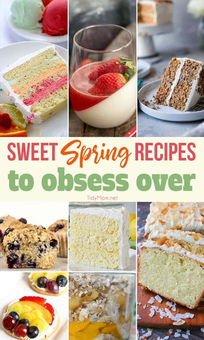 Sweet Spring Recipes to obsess over!! From Lemon Chiffon Layer Cake and Coconut Pound Cake to Spring Sherbet Cake, Carrot Cake Trifle and more you’re going to want to make them all!! Head to TidyMom.net for all the recipes!