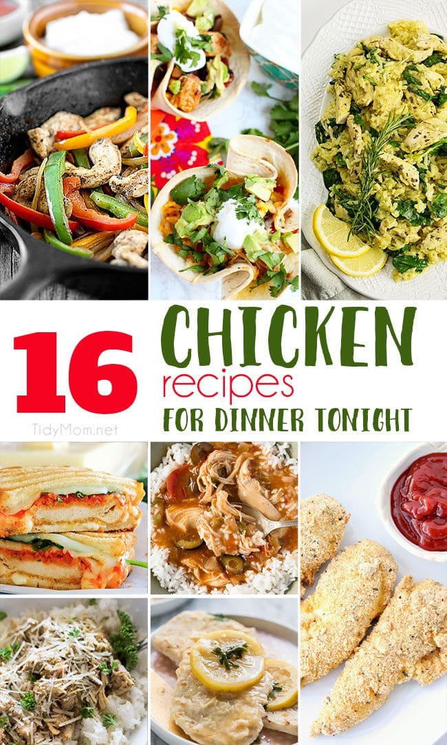 Chicken has been saving dinner for years! If your family is like mine and loves chicken recipes for dinner, you're in luck!!  These 16 dishes are here to solve your "What's for dinner" dilemma! I hope you’re hungry! 16+ Delicious Chicken Recipes for dinner tonight at TidyMom.net #chicken #dinner #chickenrecipe