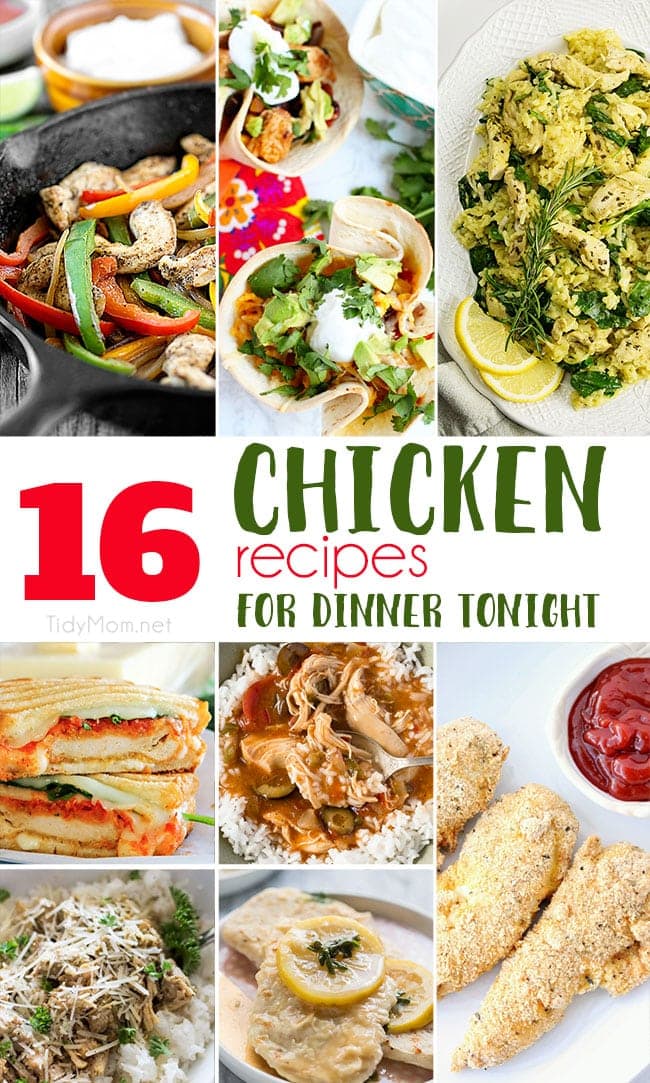 Delicious Chicken Recipes for Dinner Tonight! - TidyMom®