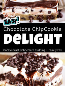 Chocolate Chip Cookie Delight