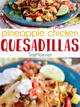 Pineapple chicken Quesadillas on a blue plate
