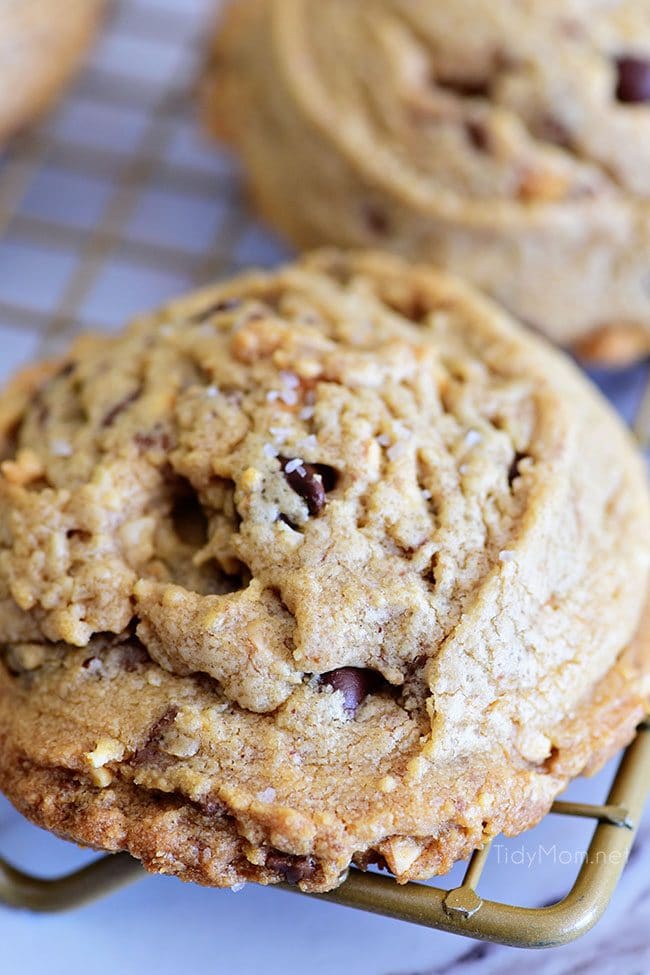 Peanut Butter Blowout Cookies are loaded with peanut butter, chocolate chips, peanut butter cups and honey roasted peanuts. Print the full recipe at TidyMom.net