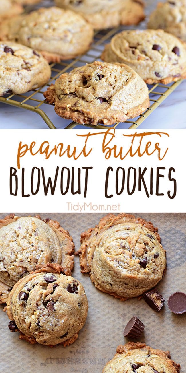 Peanut Butter Blowout Cookies are loaded with peanut butter, chocolate chips, peanut butter cups and honey roasted peanuts. Print the full recipe at TidyMom.net