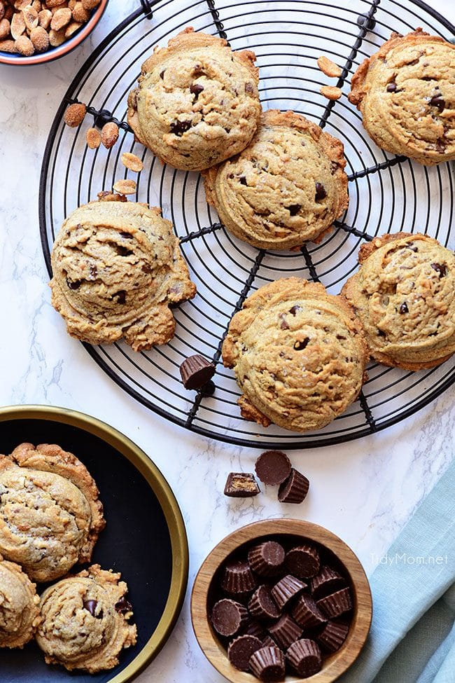 Peanut Butter Blowout Cookies are loaded with peanut butter, chocolate chips, peanut butter cups and honey roasted peanuts. Print the full recipe at TidyMom.net