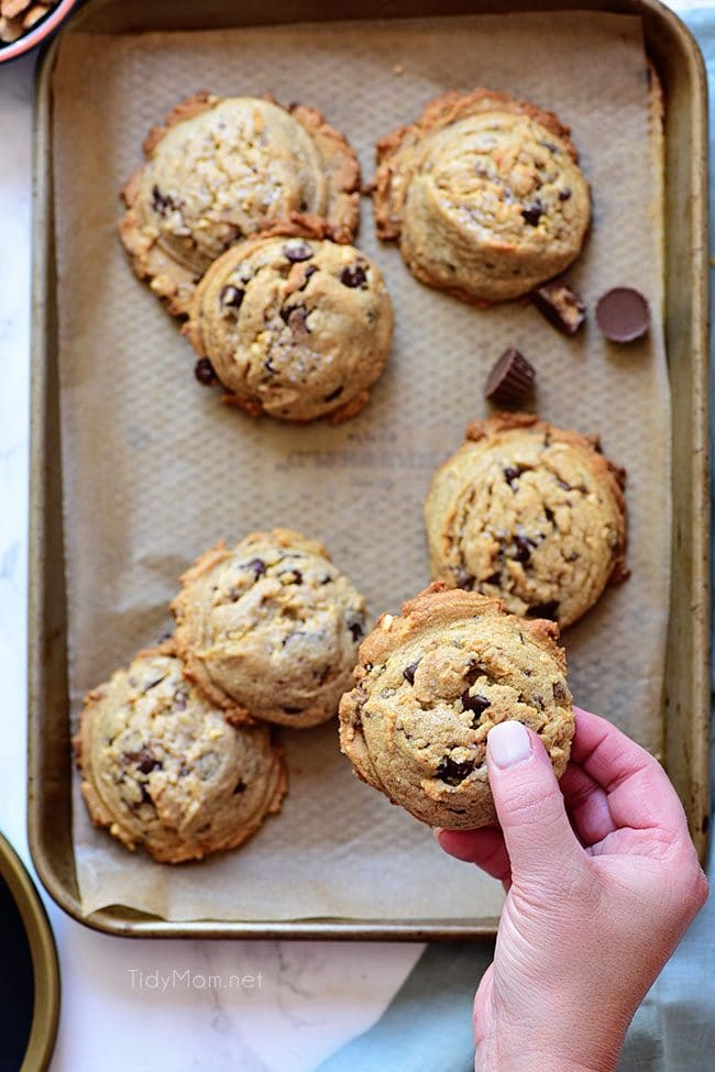 Peanut Butter Blowout Cookies are loaded with peanut butter, chocolate chips, peanut butter cups and honey roasted peanuts. Print the full recipe at TidyMom.net