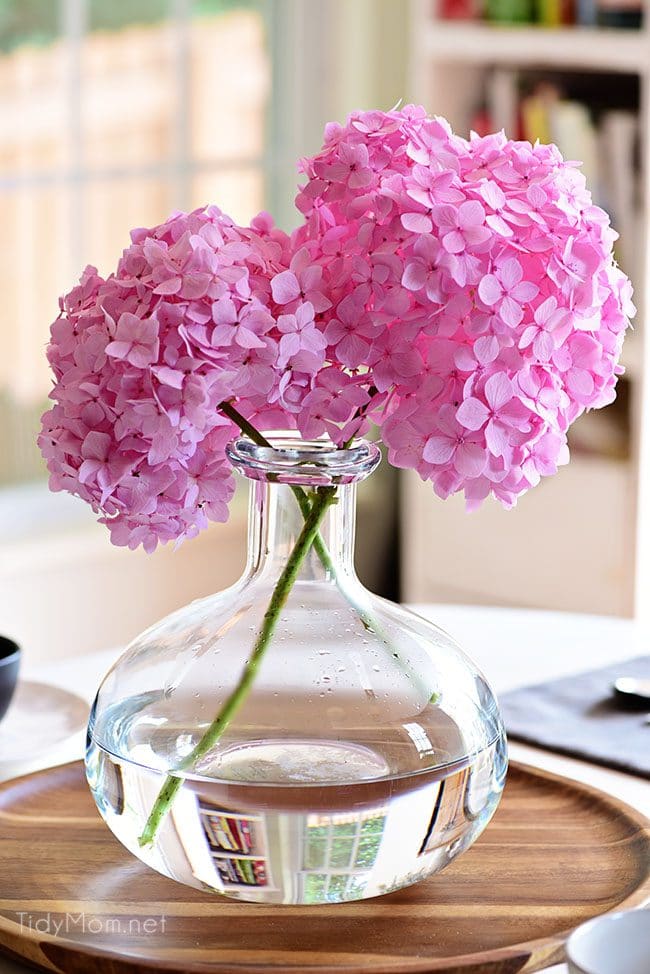 Essential hydrangea care tips to keep your fresh cut hydrangeas looking beautiful longer. You'll be amazed at how long you can make your flowers last! Get the details at TidyMom.net