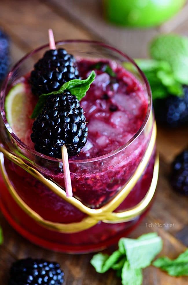 Prepare yourself for the weekend with a refreshing Blackberry Dark and Stormy. Light and fruity, and just boozy enough to make the perfect summer drink. 