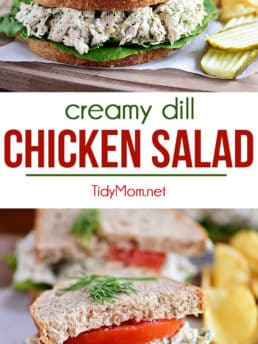 Creamy Dill Chicken Salad recipe at TidyMom.net