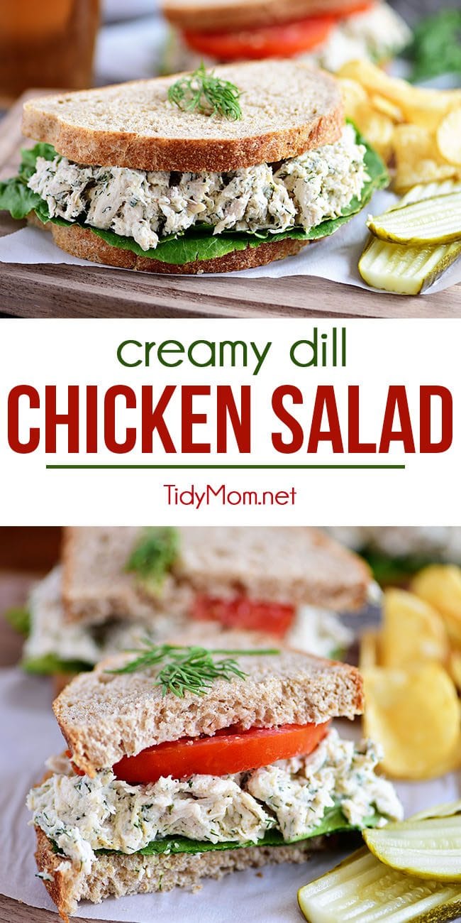 This Creamy Dill Chicken Salad is a twist on an old favorite with tons of room for variations and additions - the perfect dish for potlucks and picnics! A mix of dill weed, dijon mustard, greek yogurt, mayonnaise and more come together for chicken salad perfection! Serve on bread with your favorite toppings for a lunch you won't regret! Print the full recipe at TidyMom.net #chickensalad #chicken #sandwich