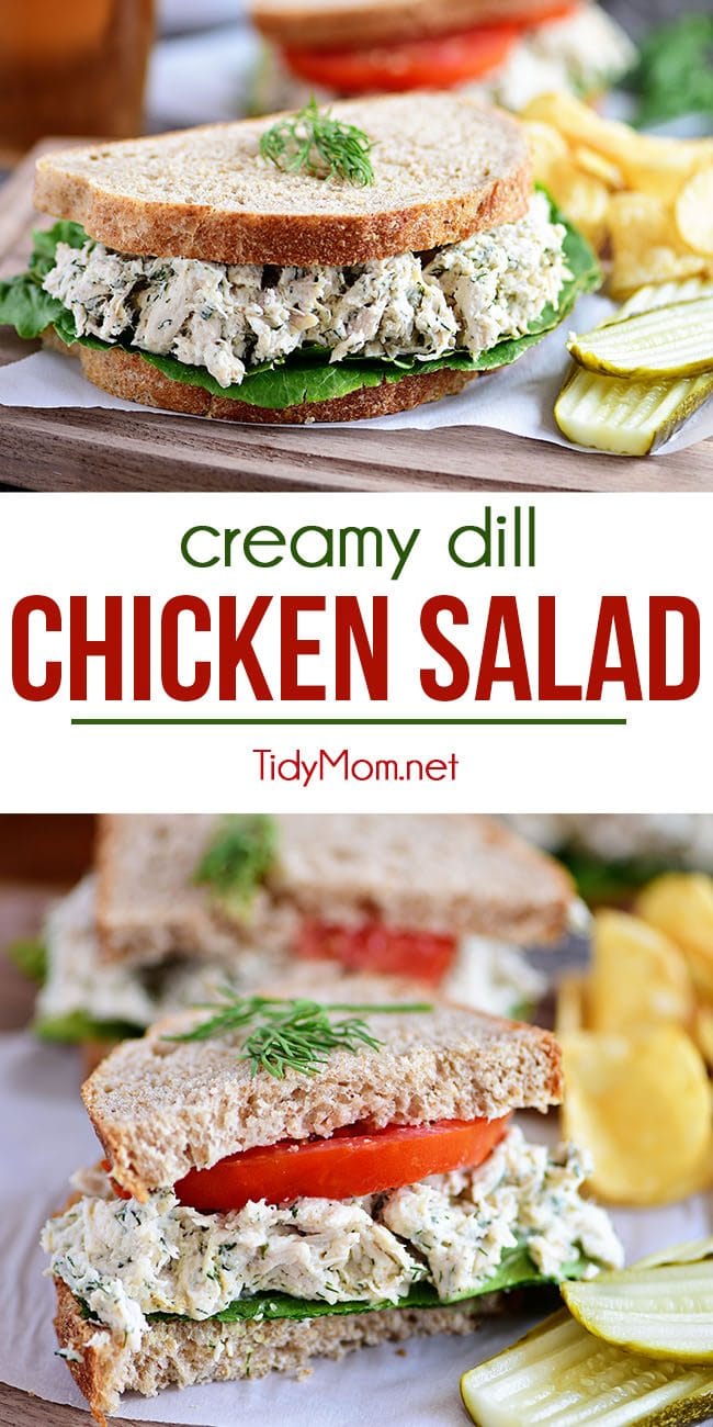 Creamy Dill Chicken Salad | TidyMom®