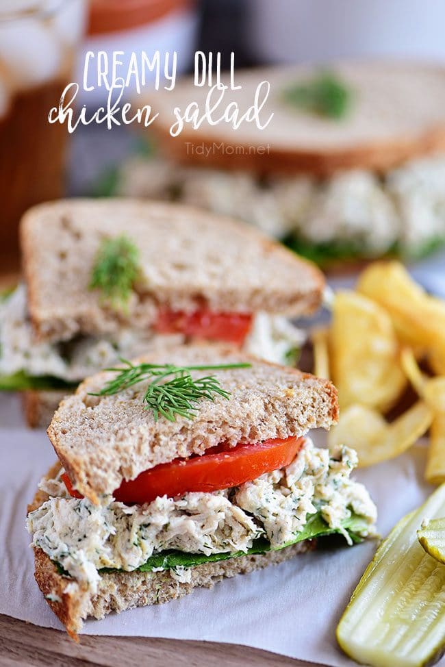 This Creamy Dill Chicken Salad is a twist on an old favorite with tons of room for variations and additions - the perfect dish for potlucks and picnics! A mix of dill weed, dijon mustard, greek yogurt, mayonnaise and more come together for chicken salad perfection! Serve on bread with your favorite toppings for a lunch you won't regret! Print the full recipe at TidyMom.net #chickensalad #chicken #sandwich