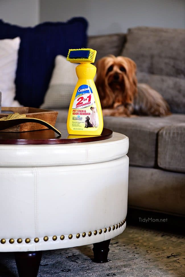 Make your home smell good with a plug-in wax warmer 