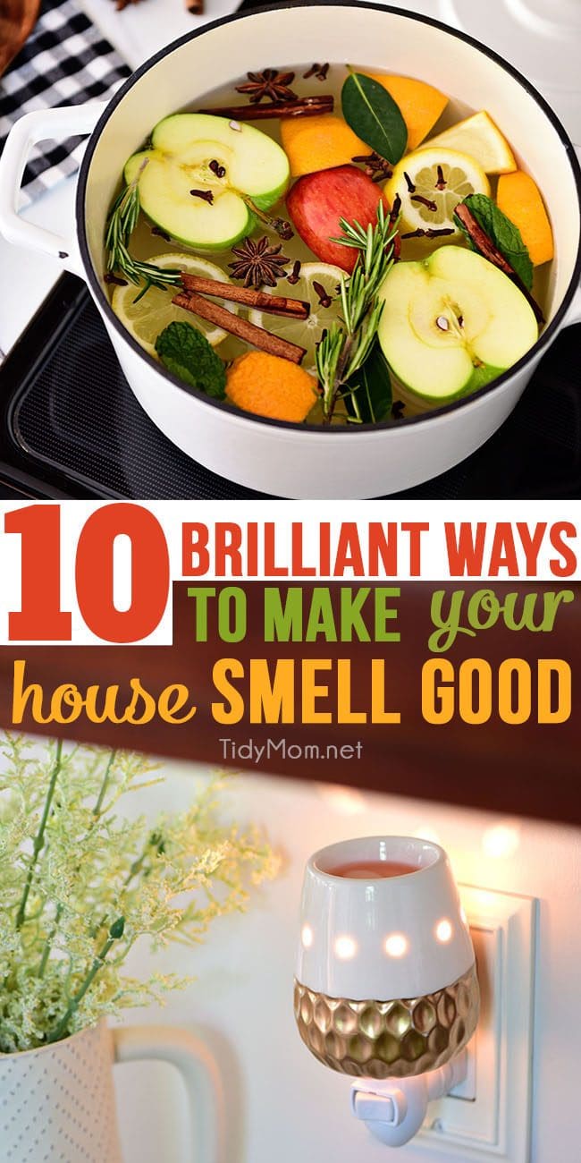 10 Brilliant Tips To Make Your House Smell Good TidyMom 10-brilliant-tips-to-make-your-house-smell-good-tidymom