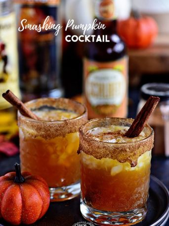 Fall spices, pumpkin ale, and equal parts spiced rum and butterscotch Schnapps makes this Smashing Pumpkin Cocktail the best thing to hit your cocktail glass this fall! Get the full recipe at TidyMom.net