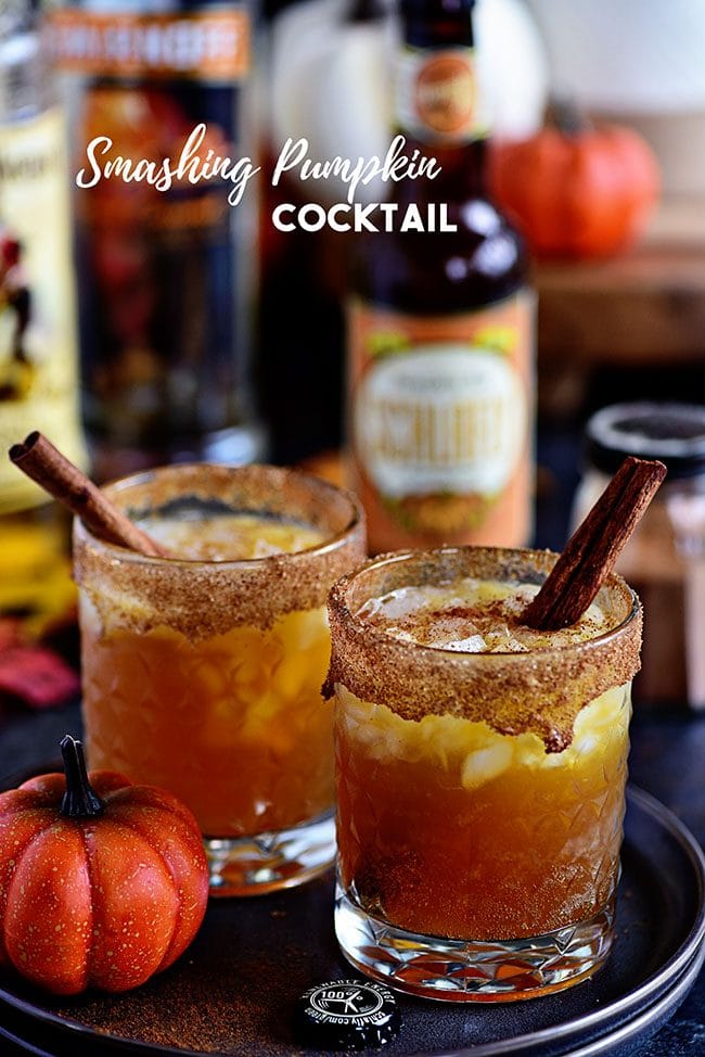 Fall spices, pumpkin ale, and equal parts spiced rum and butterscotch Schnapps makes this Smashing Pumpkin Cocktail the best thing to hit your cocktail glass this fall! Get the full recipe at TidyMom.net