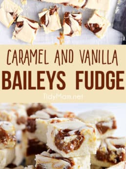 baileys fudge on a plate collage