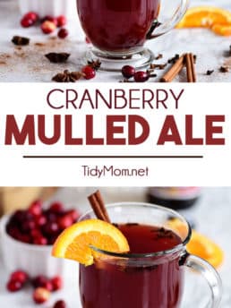 Warm Cranberry Mulled Ale