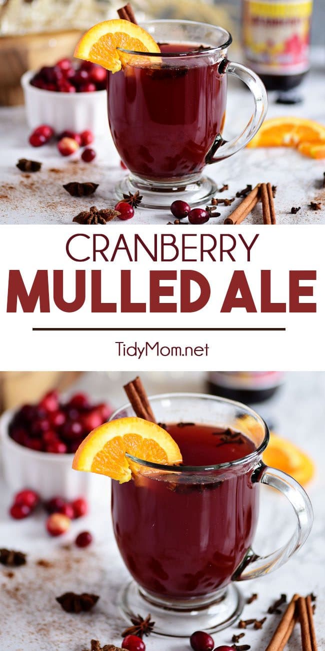 Warm Cranberry Mulled Ale