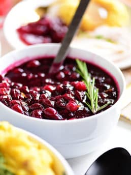 Fresh Cranberry Sauce in bowl with spoon
