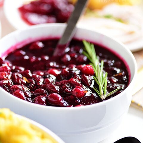 Fresh Cranberry Sauce in bowl with spoon