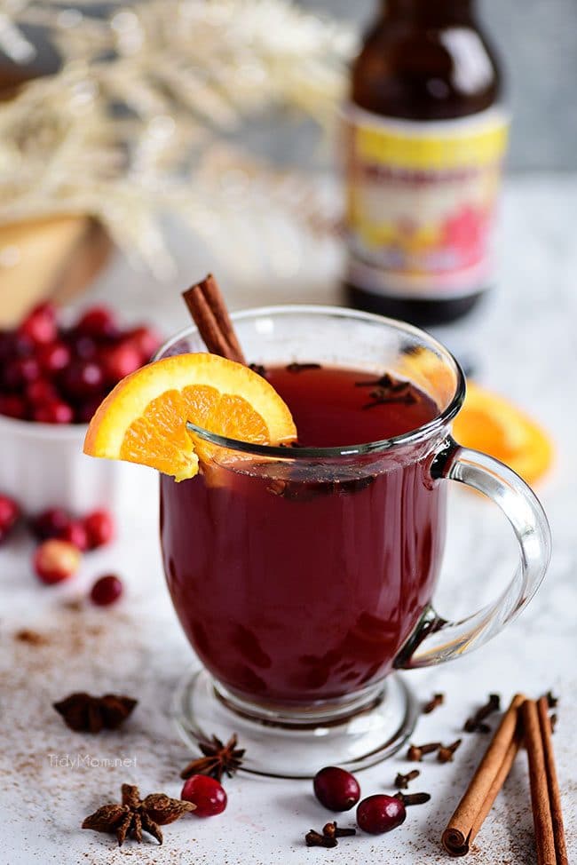 Holiday Cranberry Mulled Ale