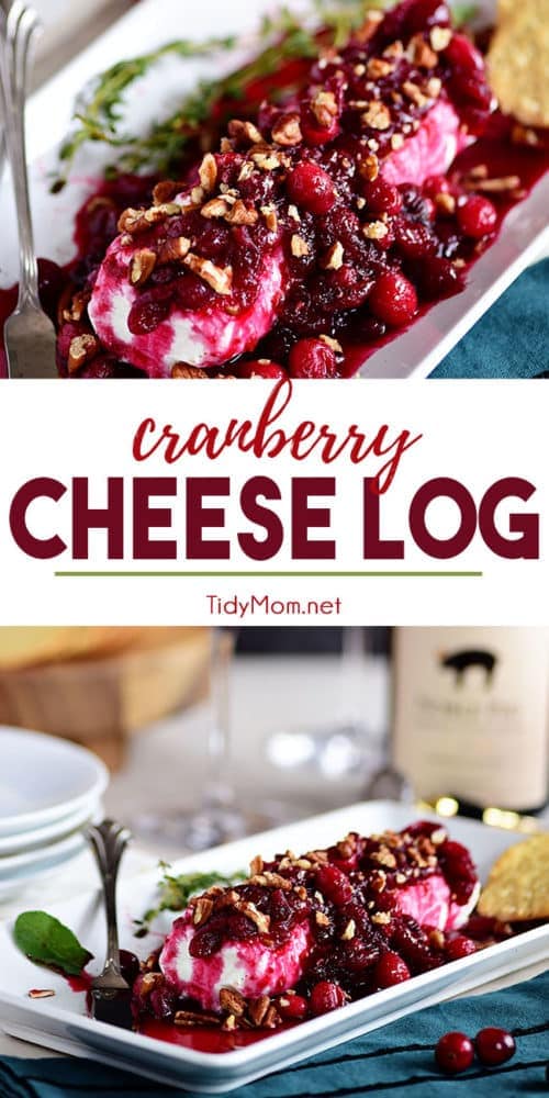 Red Wine Cranberry Cheese Log - TidyMom®