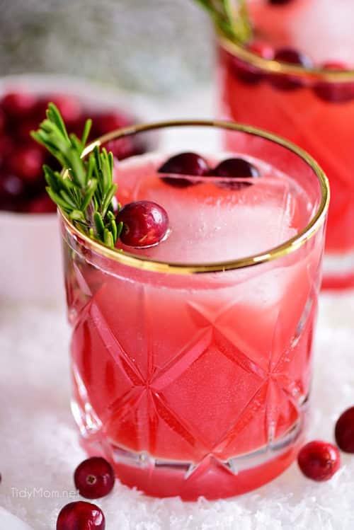 Rudolph's Tipsy Spritzer {VIDEO} - TidyMom®